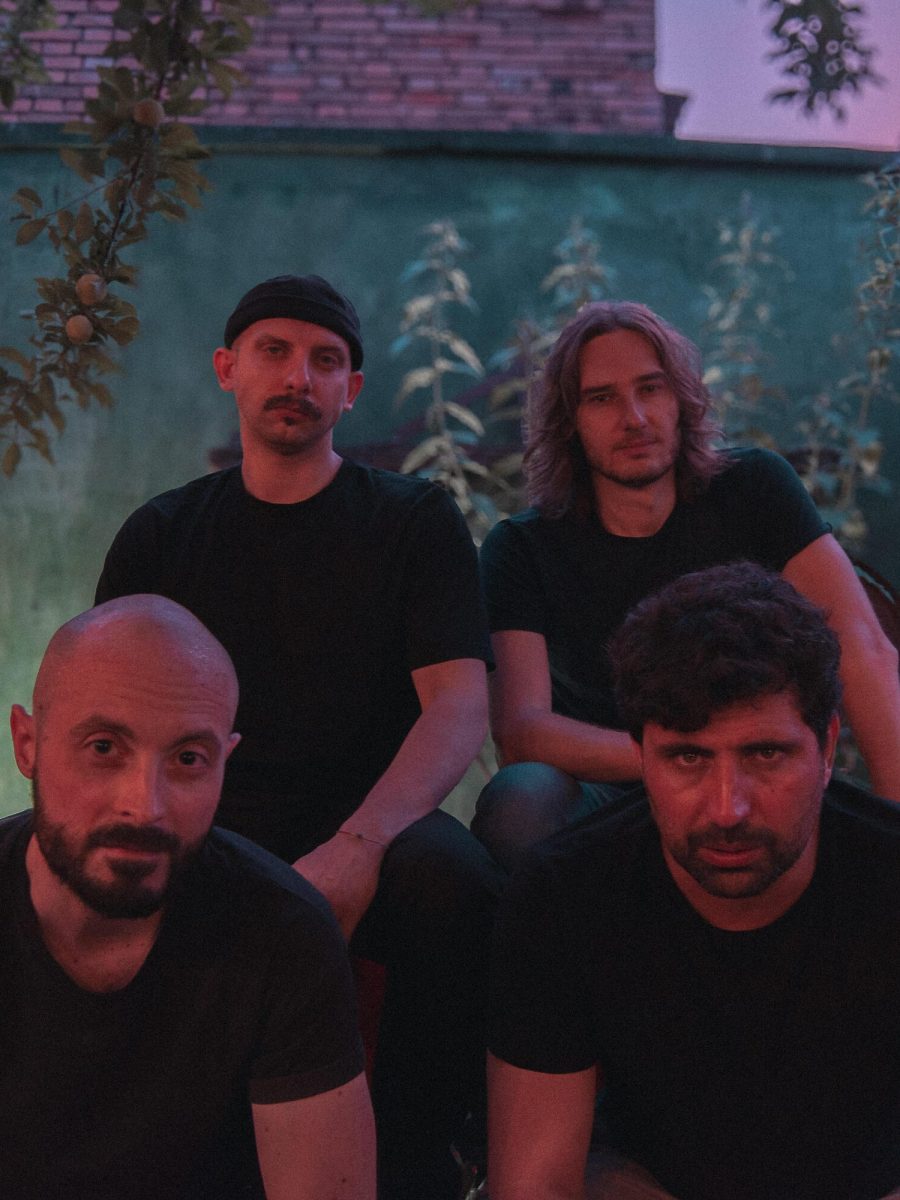 Rock Revolution – Rock a cuore aperto: Zebra&nbsp;Fink